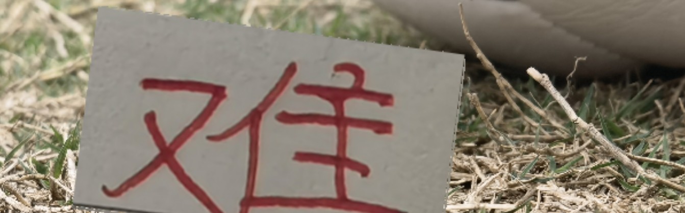 中欧体育登录入口-疲劳度加满！再加遇旧人徐新 卫冕冠军周末战云南 能避免两连败吗